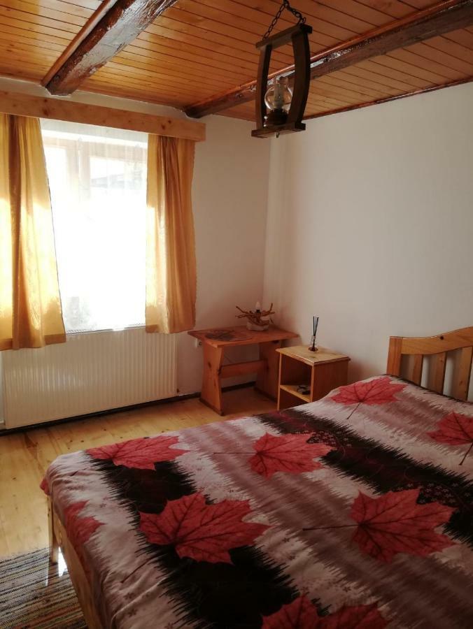 Rustic Rooms Rîşnov エクステリア 写真