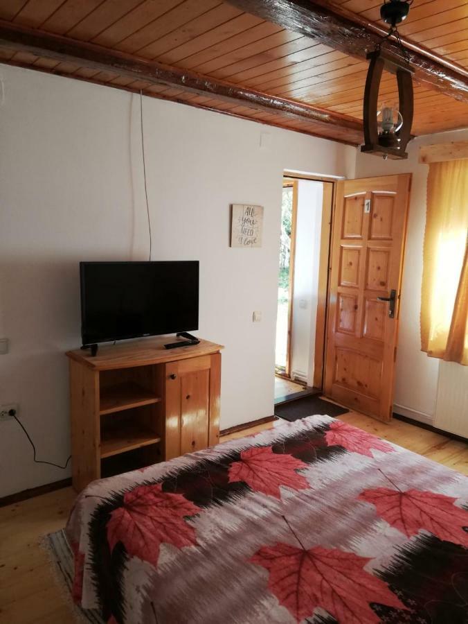 Rustic Rooms Rîşnov エクステリア 写真