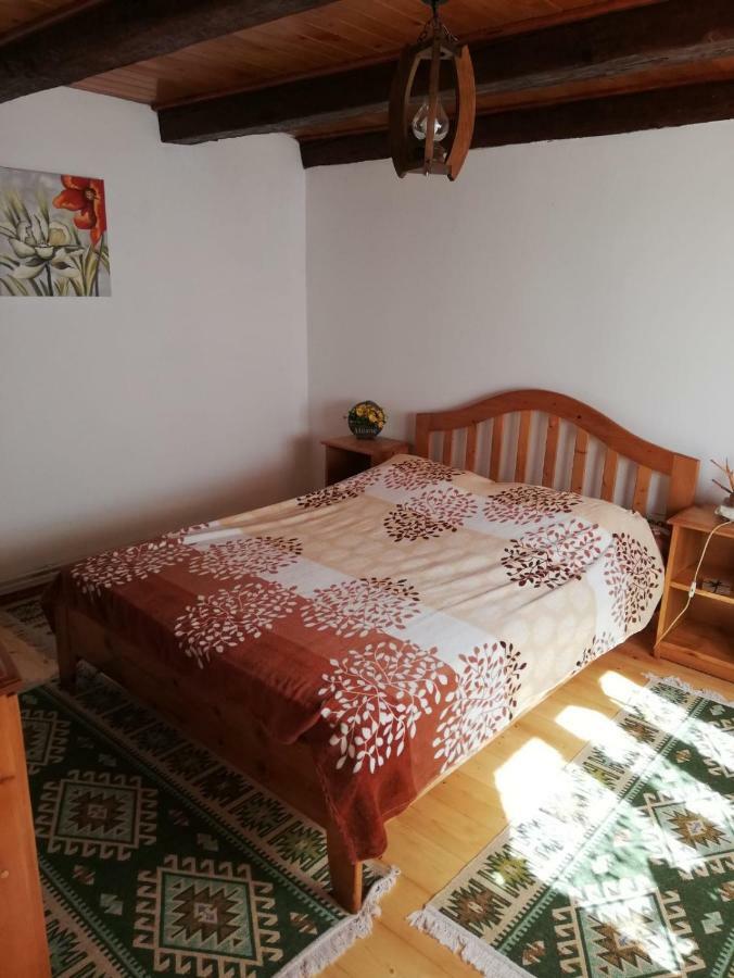 Rustic Rooms Rîşnov エクステリア 写真